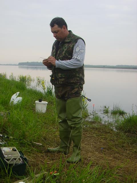 De pe ... balti ... 2